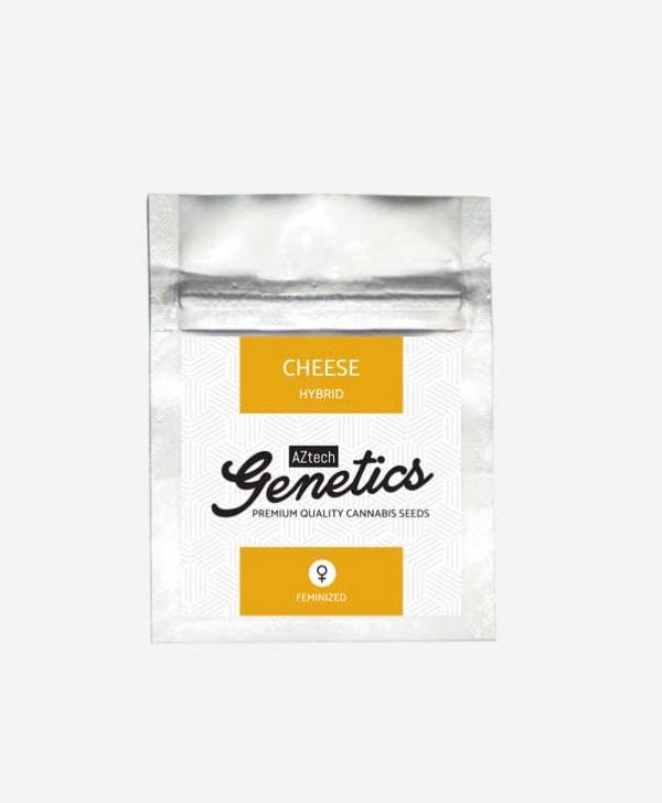 cheese_aztech