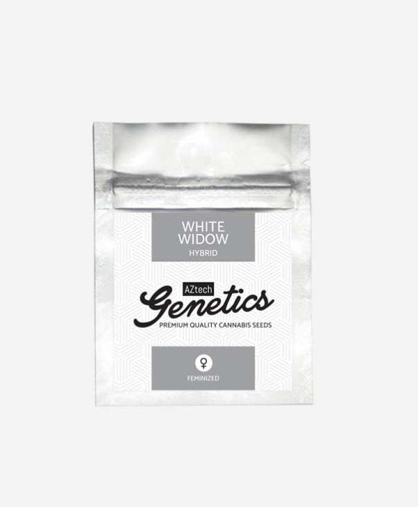 white_widow_seeds_aztech