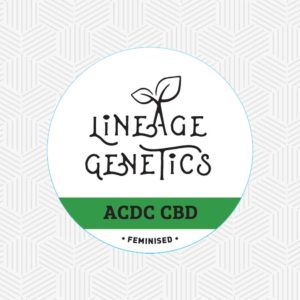 ACDC CBD - Lineage Genetics Seeds