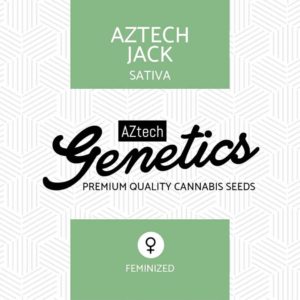 Aztech Jack Seeds - Aztech Genetics