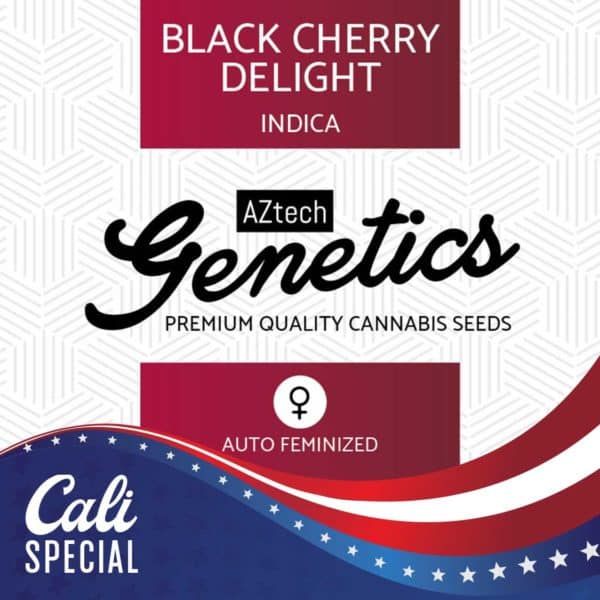 Black Cherry Delight Auto Seeds - Aztech Genetics