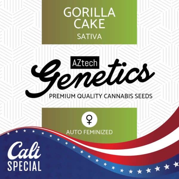 Gorilla Cake Auto Seeds - Aztech Genetics