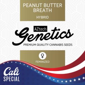 Peanut Butter Breath Seeds - Aztech Genetics