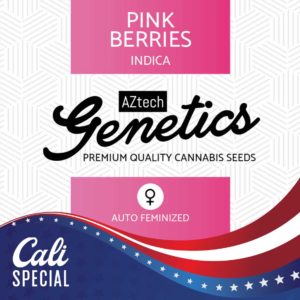Pink Berries Auto Seeds - Aztech Genetics