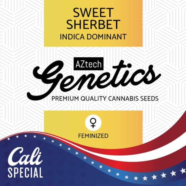 Sweet Sherbet Seeds - Aztech Genetics