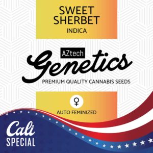 Sweet Sherbet Auto Seeds - Aztech Genetics