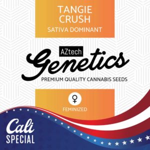 Tangie Crush Seeds - Aztech Genetics