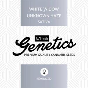 White Widow x Unknown Haze - Aztech Genetics Seeds