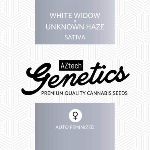 White Widow x Unknown Haze Auto Seeds - Aztech Genetics Seeds
