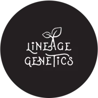 Lineage Genetics Cannabis Seeds at Aztech Smoke Shop