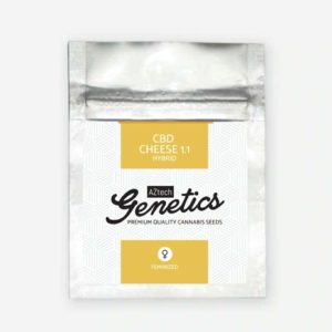CBD Cheese 1:1